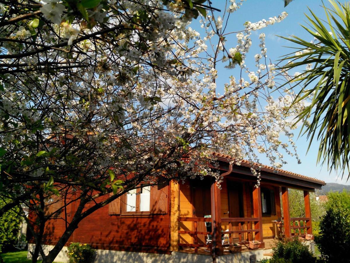 Mi Cabana Villa Ribadumia Eksteriør billede
